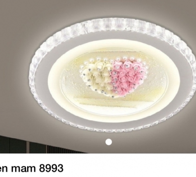 ĐÈN MÂM 8993